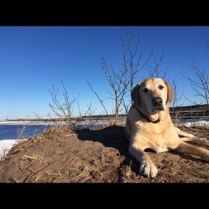 Meet your Posher, Leslie